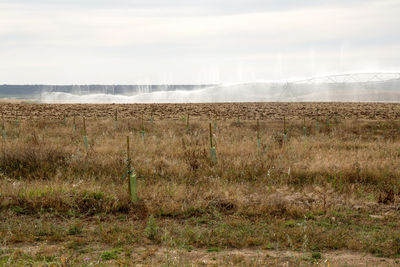 Scenic view of field against sky