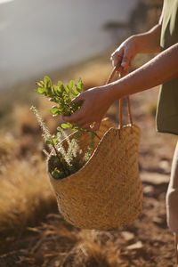 Midsection of woman holding herbs in basket outdoors