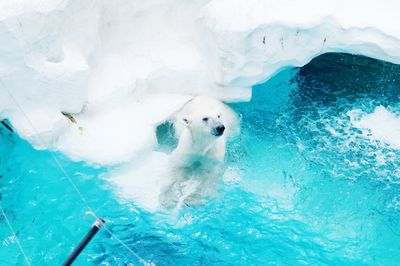Close-up of water in the sea
