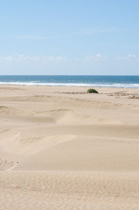 Footprints on sand at beach against sky