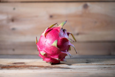 Close-up of pink rose on table