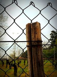 Close-up of barbed wire fence against sky