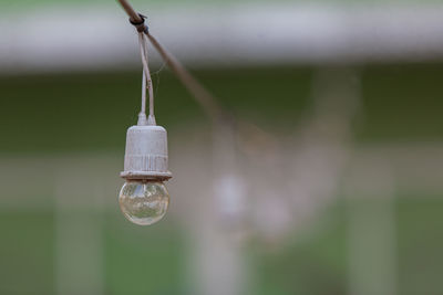 Close-up of water drop on rope