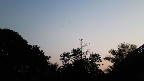 Low angle view of silhouette trees against clear sky