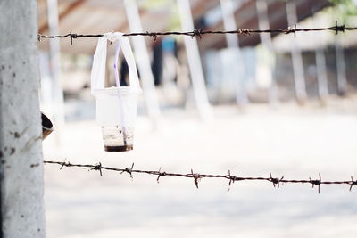 Close-up of barbed wire hanging on metal fence