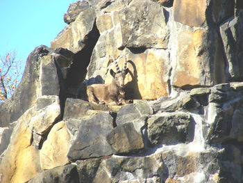 Low angle view of rock formation