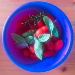 Close-up of food on table