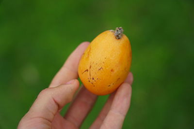 Close-up of hand holding orange fruit