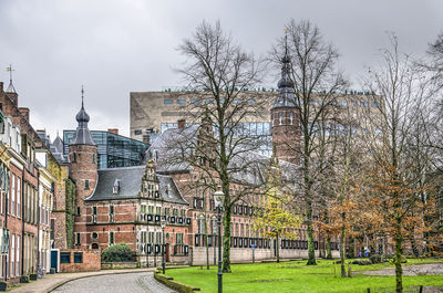 View of trees and buildings against sky