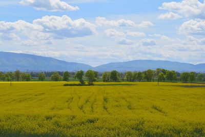 Scenic view of field against cloudy sky