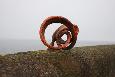 Twisted remains of old metalwork fence