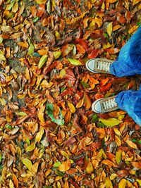 Low section of person standing on dry leaves