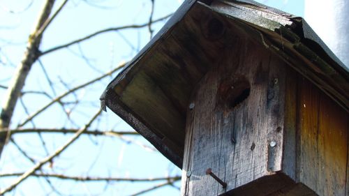 Low angle view of wooden structure against sky