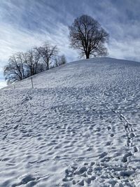 Bare tree on snow covered field against sky