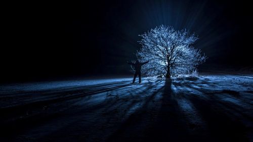 Silhouette trees on field during winter at night