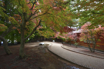 Street amidst trees in park