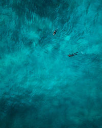 High angle view of people swimming in sea