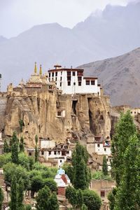View of buddhist temple built on rock cliff with vegetation in ladakh, india