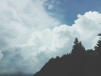 Low angle view of trees against sky