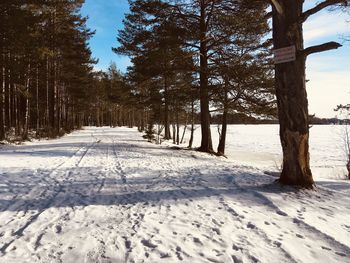 Scenic view of snow covered land against sky