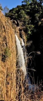 Close-up of splashing water against trees