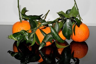 Close-up of orange fruits