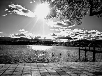 Swan on lake against sky