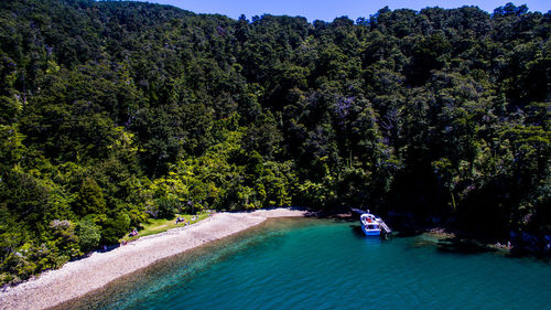 Scenic view of sea and trees in forest