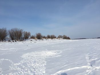 Scenic view of snow covered field against sky