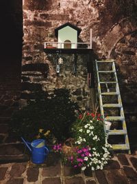 Potted plant against brick wall