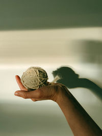 Close-up of hand holding snail