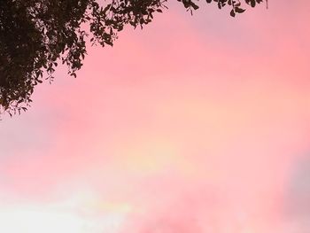 Low angle view of silhouette tree against romantic sky