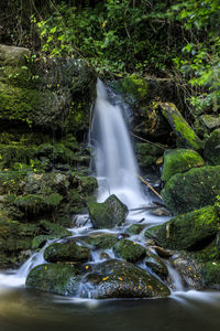 Waterfall in forest