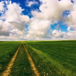 Scenic view of grassy field against cloudy sky