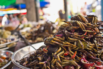 Close-up of crabs for sale in market