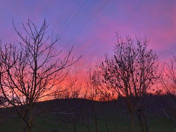 Silhouette bare tree against sky during sunset