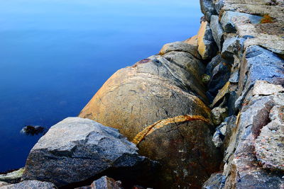 Close-up of rock on beach