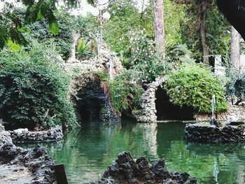 Scenic view of waterfall in forest