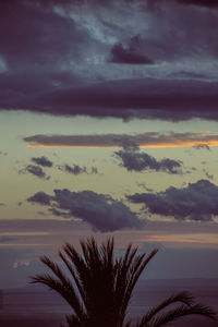 Silhouette tree against sky during sunset