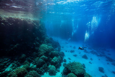 View of scuba diver swimming in sea