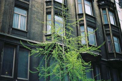 Low angle view of building