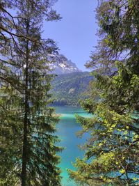 Scenic view of lake in forest against sky