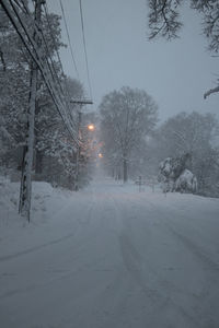 Snow covered road by trees against sky