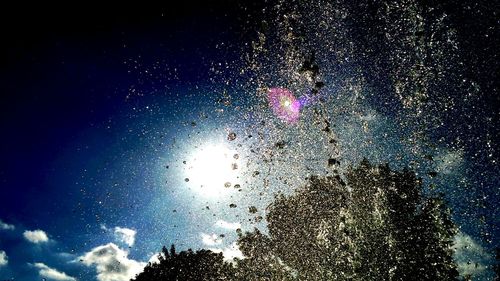 Close-up of drops on tree against sky