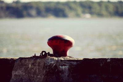 Close-up of red object