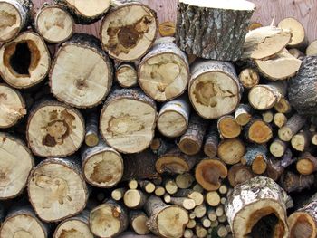 Full frame shot of logs in forest