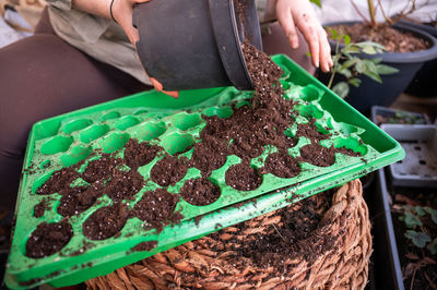 Cropped hand of person gardening