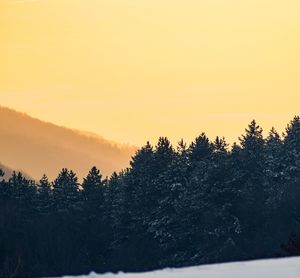 Silhouette trees on landscape against sky during sunset