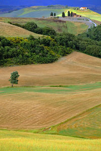 Scenic view of agricultural field