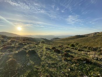 Scenic view of landscape against sky